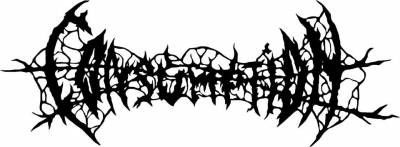 logo Consumption (USA-2)